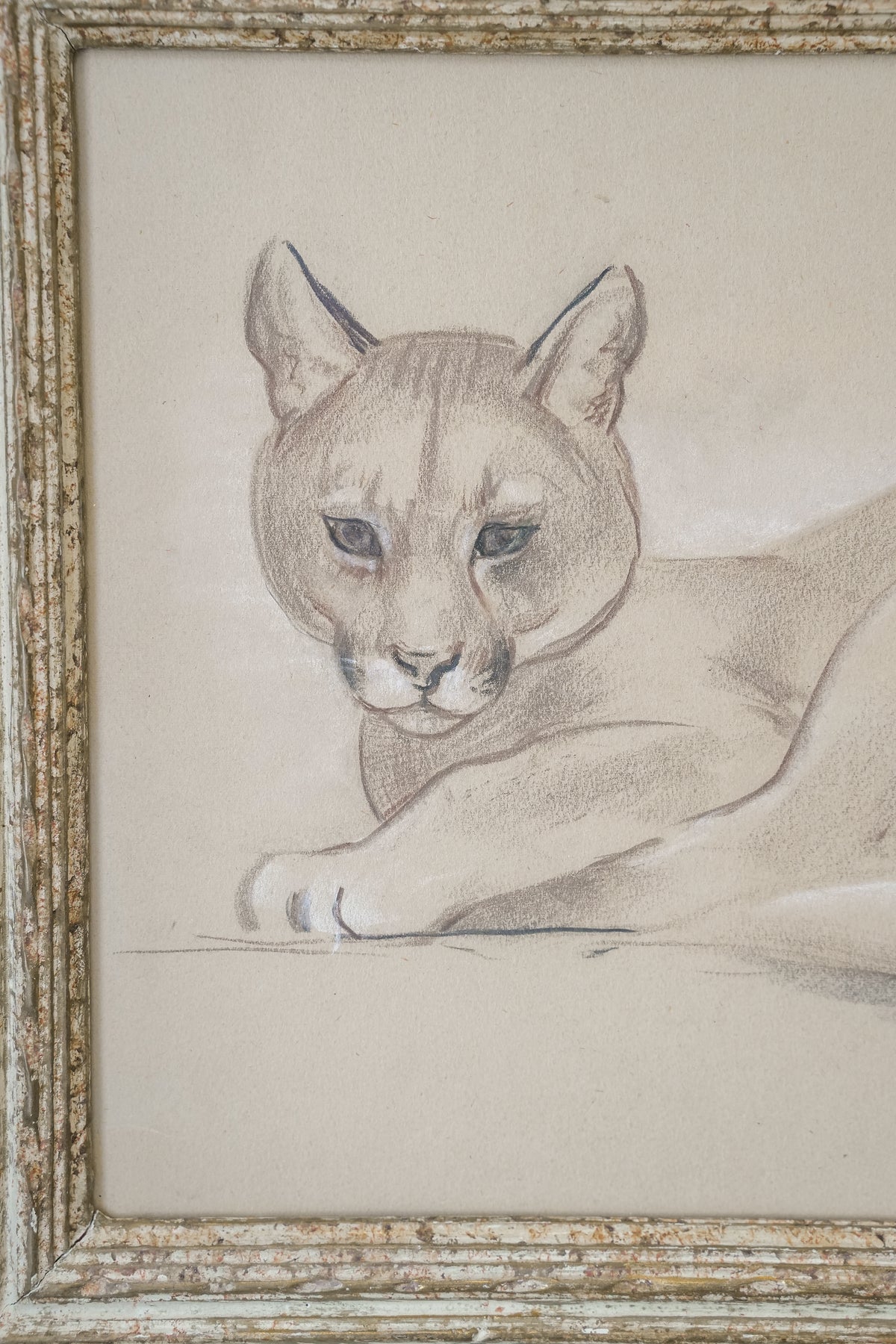 Puma, by Stefani Melton Fisher (1894-1963).