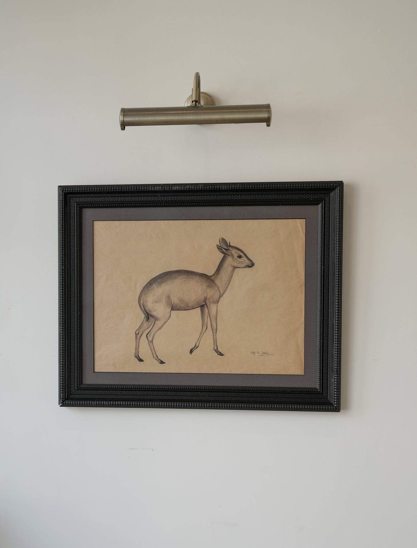 Pastel Study Of A Deer. Stefani Melton Fisher. (1894-1963).