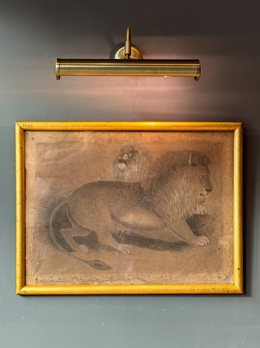 19th century pencil sketch of a pair of Lions.