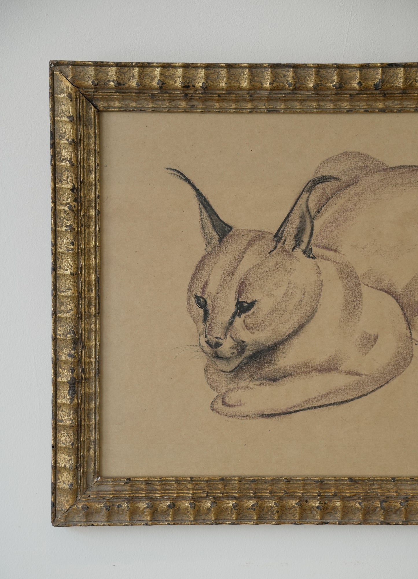 Stefani Melton Fisher (1894–1963) – Original Caracal Study.
