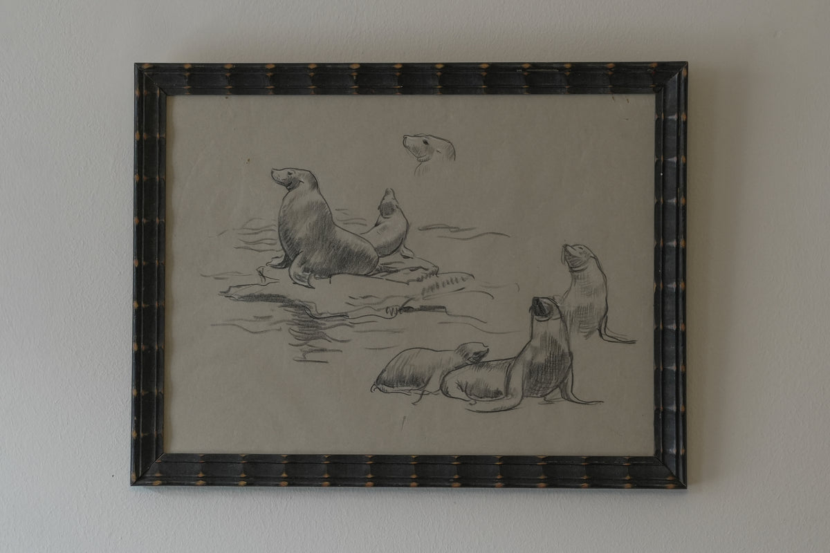Seals Drawing. Stefani Melton Fisher.