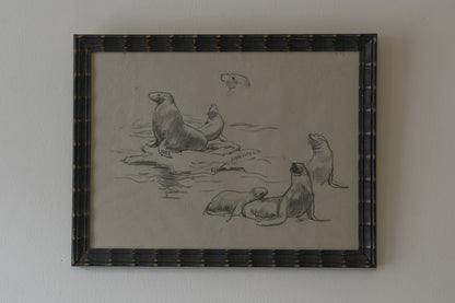 Seals Drawing. Stefani Melton Fisher.