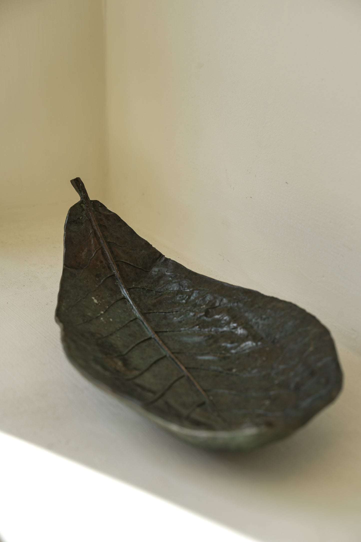 Bronze leaves