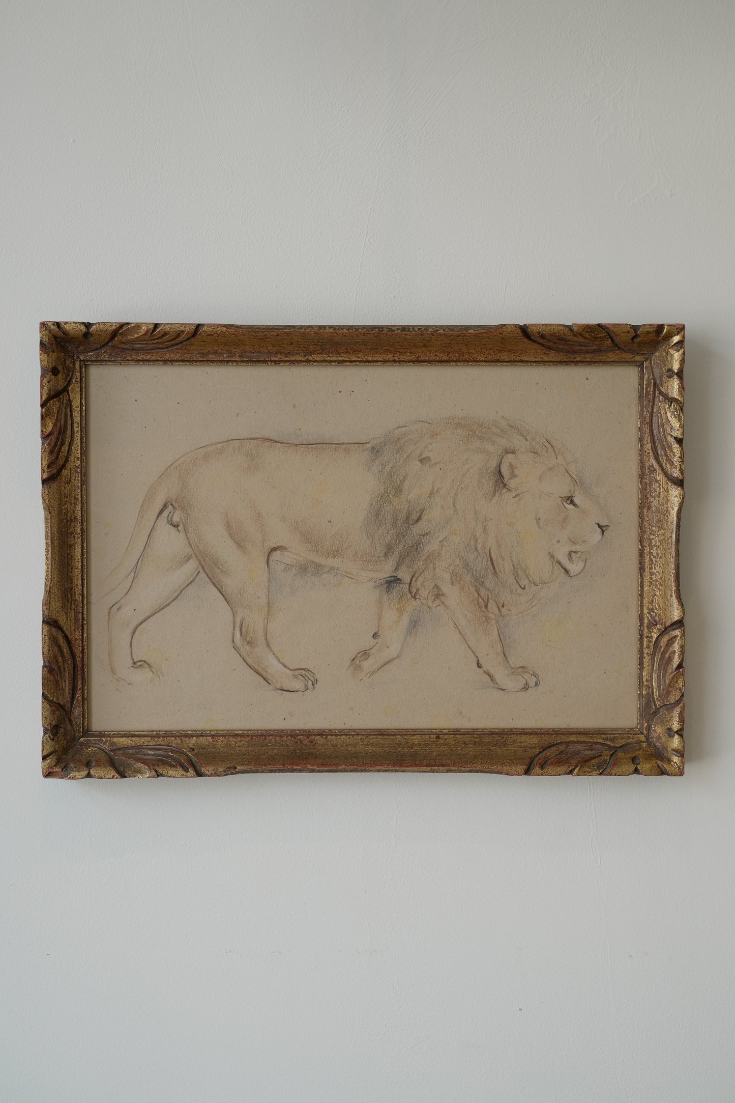 Lion Study. Stefani Melton Fisher (1894–1963).