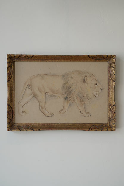 Lion Study. Stefani Melton Fisher (1894–1963).