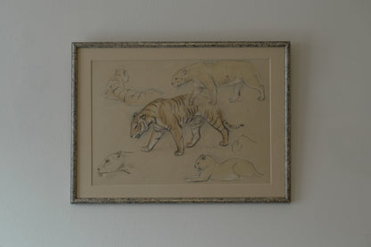 Stefani Melton Fisher. Big Cat Drawing.