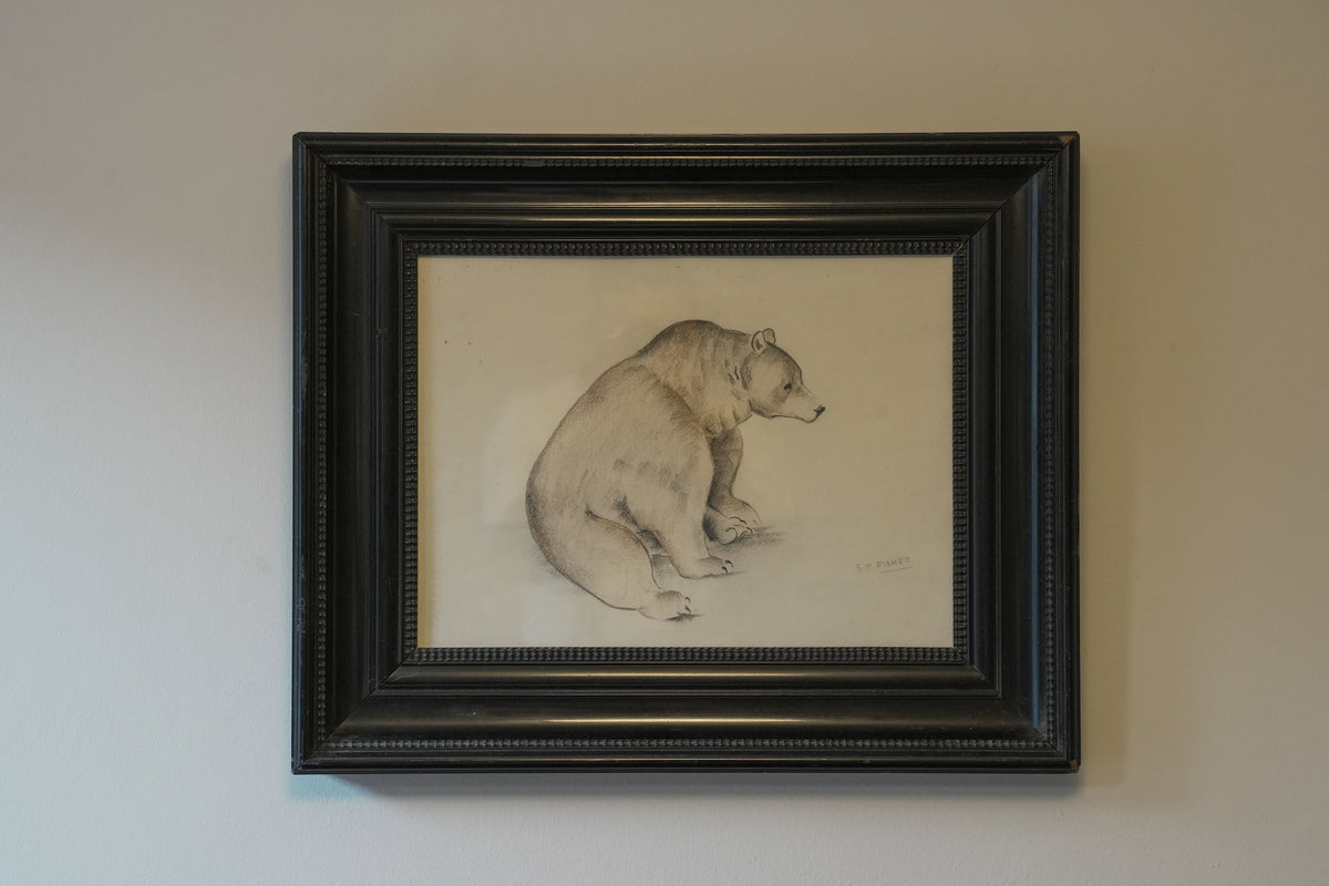 Large Bear Drawing. Stefani Melton Fisher.