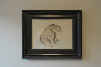 Large Bear Drawing. Stefani Melton Fisher.