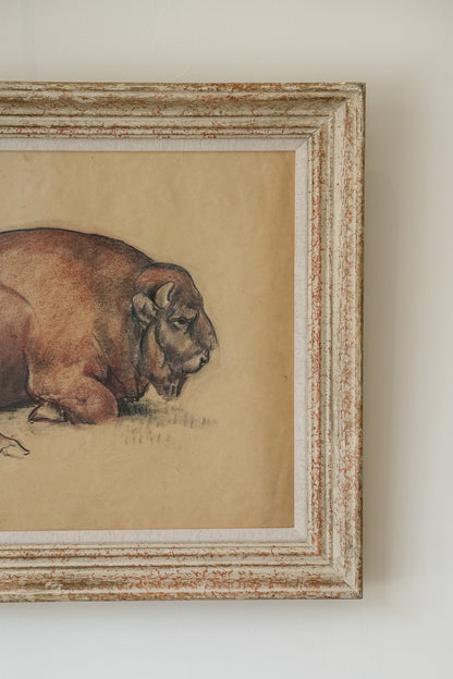 Large Bison study by Stefani Melton Fisher (1894-1963).