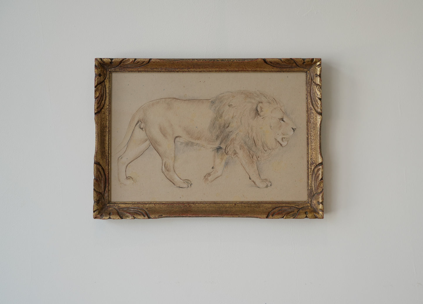 Lion Study. Stefani Melton Fisher (1894–1963).
