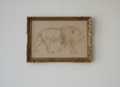 Lion Study. Stefani Melton Fisher (1894–1963).