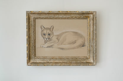 Puma, by Stefani Melton Fisher (1894-1963).