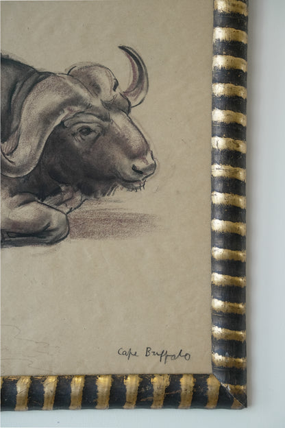 Stefani Melton Fisher (1894–1963) – Original Study of a Cape Buffalo.